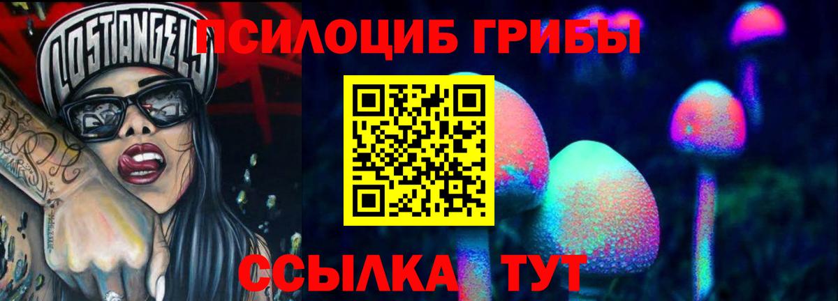 где найти   Псилоцибиновые грибы MAGIC MUSHROOMS  Вход с VPN  Псилоцибиновые грибы прущие грибы  Кинель 